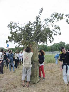 EL BOSQUE DE VILLAFRÍA